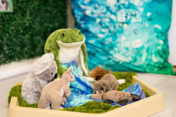 Hidden Valley Early Learning (6)